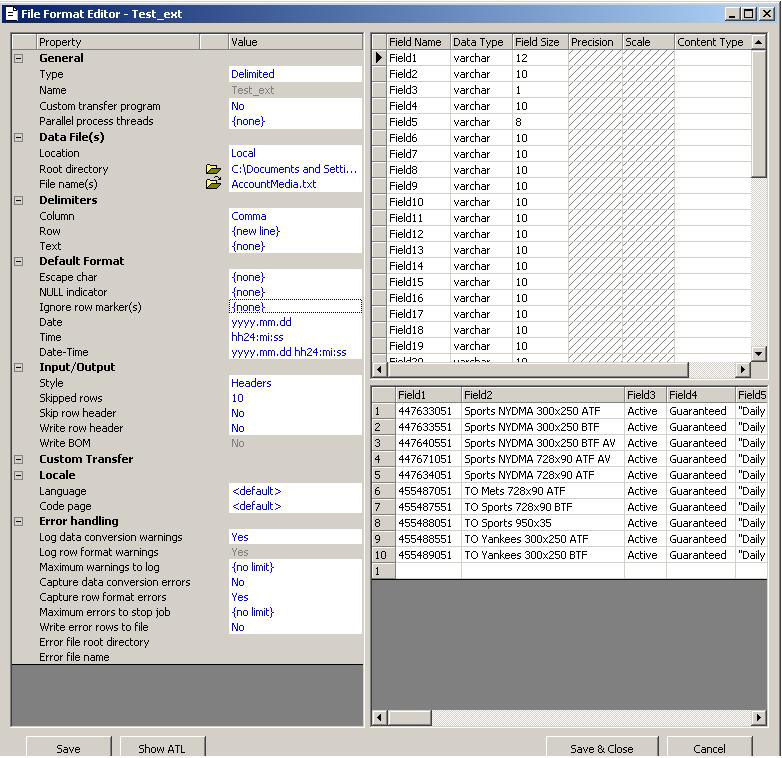 File Format.JPG